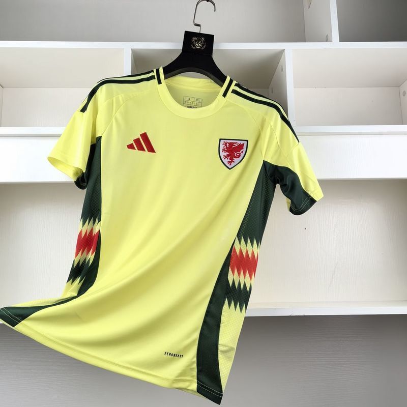Wales Away 24