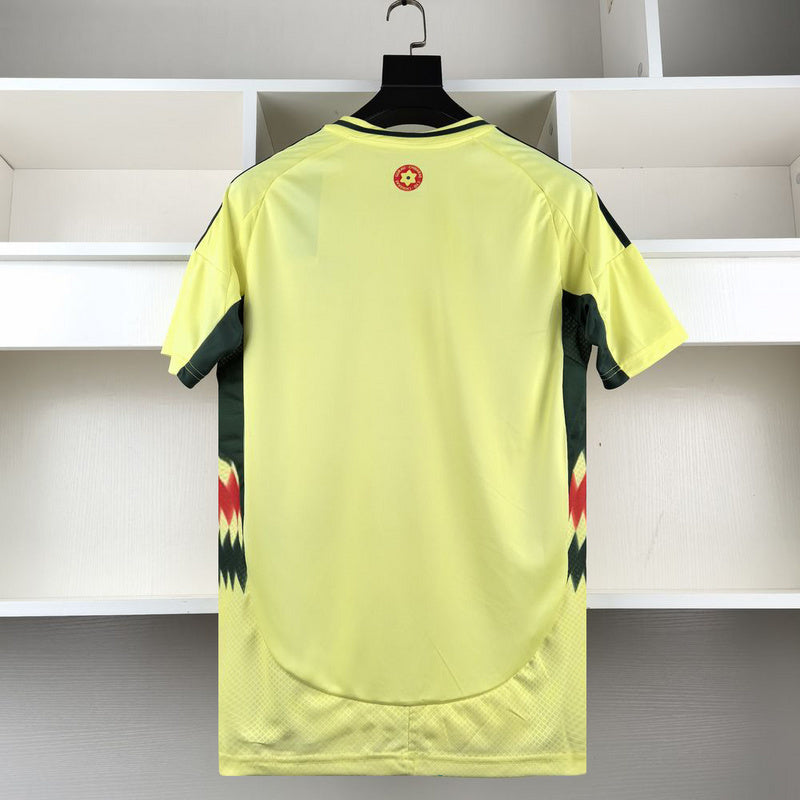 Wales Away 24