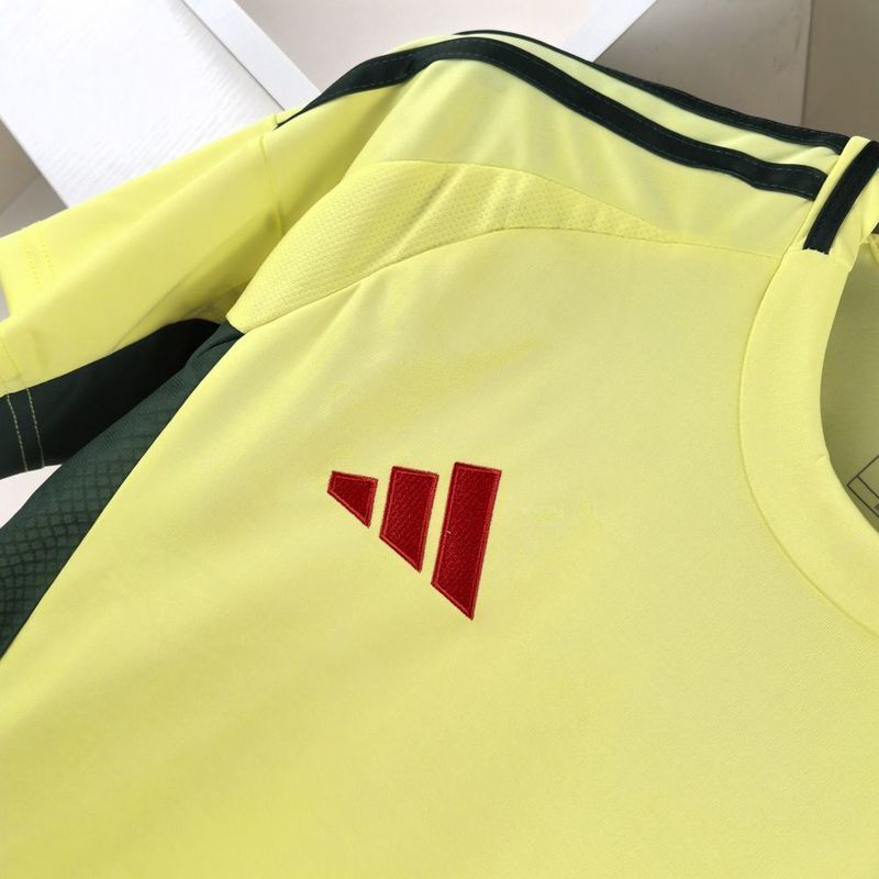 Wales Away 24
