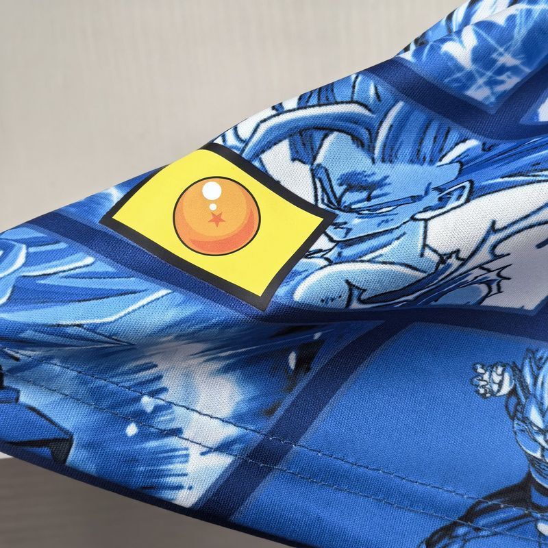 Japan Dragon Ball Blue 24-25