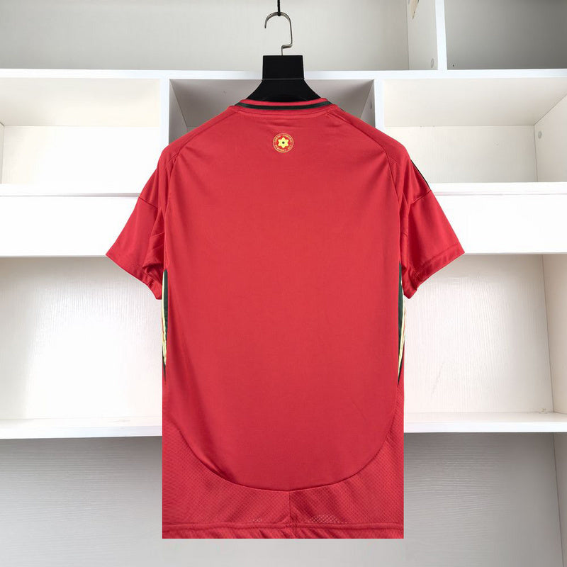 Wales Home 24
